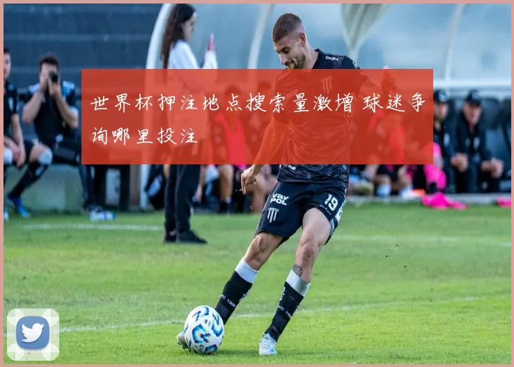 世界杯押注地点搜索量激增 球迷争询哪里投注