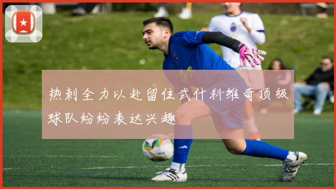 热刺全力以赴留住武什科维奇顶级球队纷纷表达兴趣