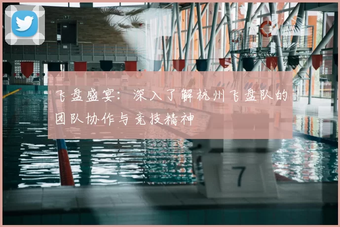 飞盘盛宴:深入了解杭州飞盘队的团队协作与竞技精神