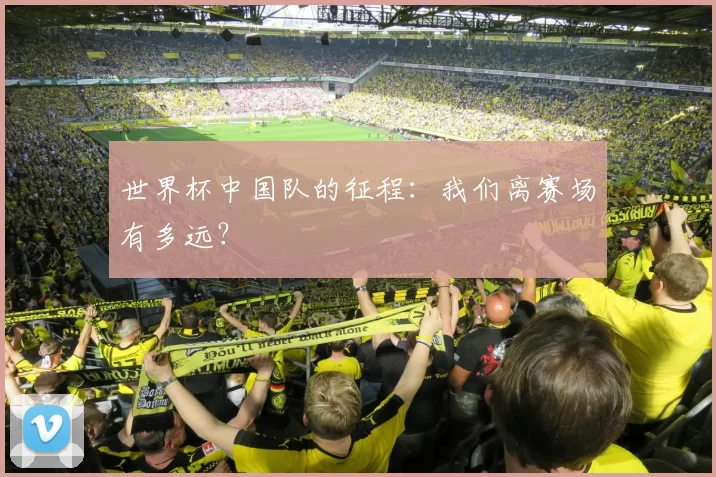 世界杯中国队的征程:我们离赛场有多远?