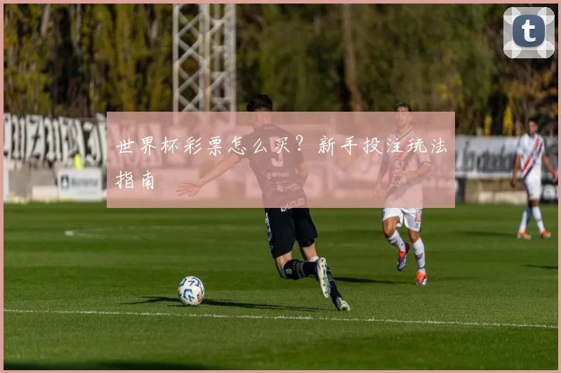 世界杯彩票怎么买?新手投注玩法指南