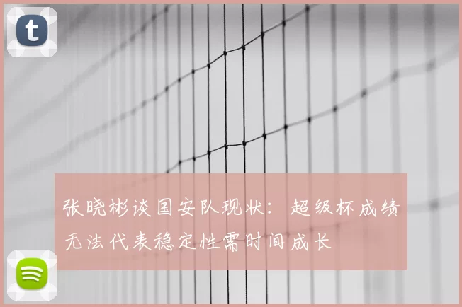 张晓彬谈国安队现状:超级杯成绩无法代表稳定性需时间成长