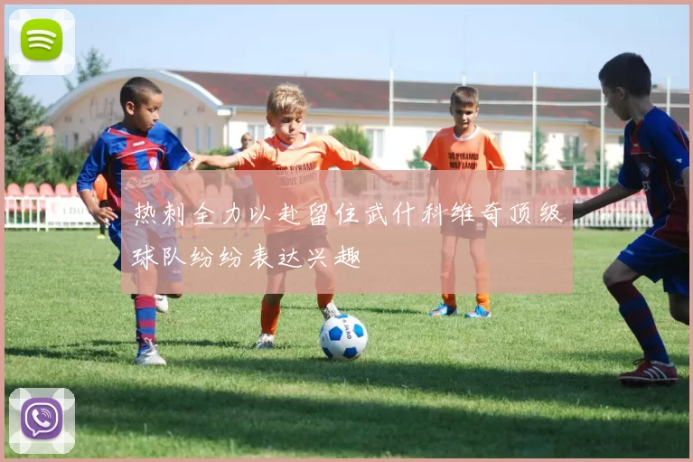 热刺全力以赴留住武什科维奇顶级球队纷纷表达兴趣