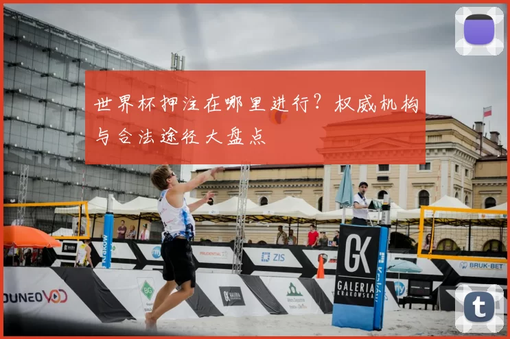 世界杯押注在哪里进行?权威机构与合法途径大盘点