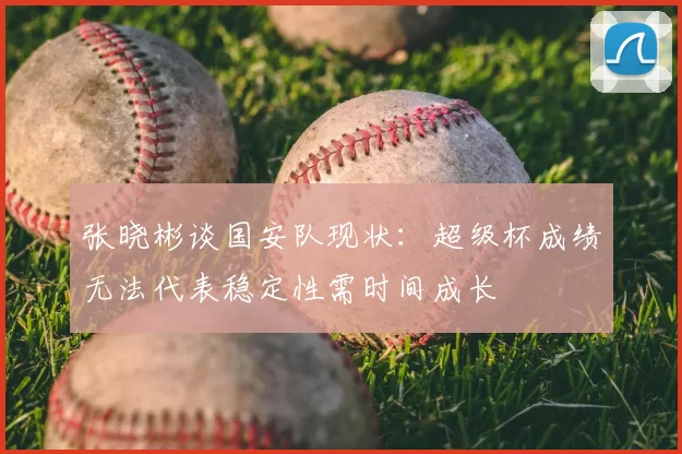 张晓彬谈国安队现状:超级杯成绩无法代表稳定性需时间成长