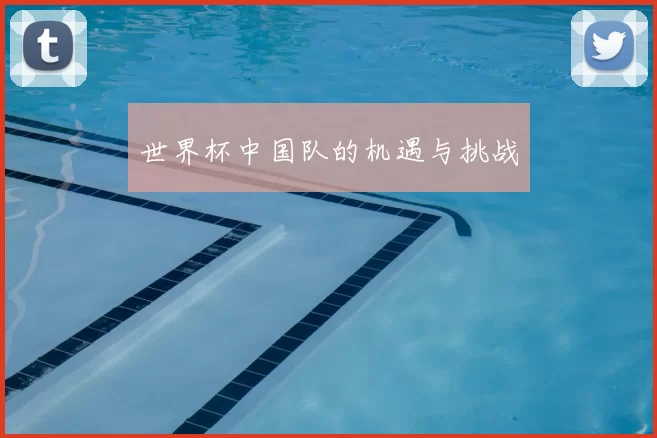 世界杯中国队的机遇与挑战